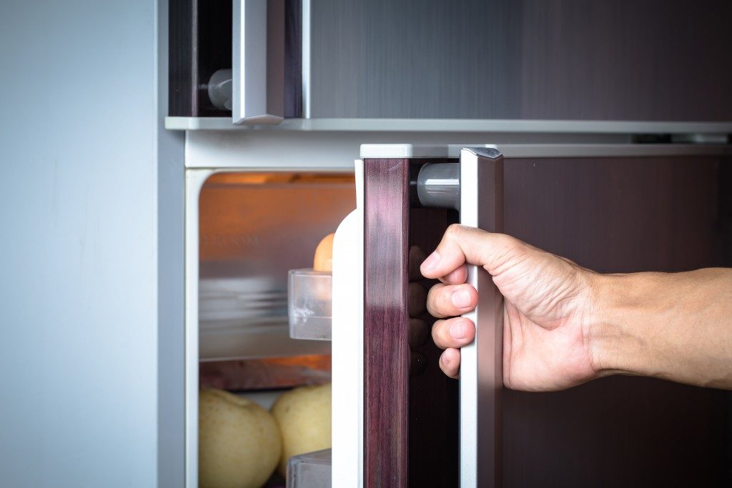 Hand opening refrigerator door