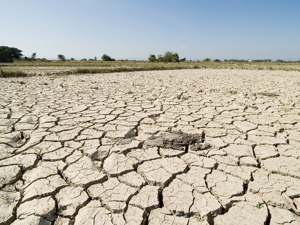 Dried earth because of rain dose not fall and the land lacked of water for agriculture