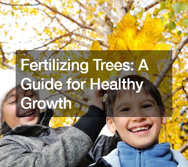 Fertilizing Trees A Guide for Healthy Growth