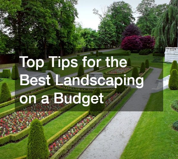 Top Tips for the Best Landscaping on a Budget