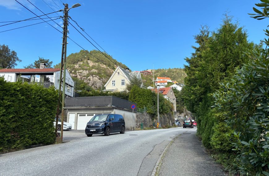 The Pros and Cons of Asphalt vs. Concrete for Residential Driveways